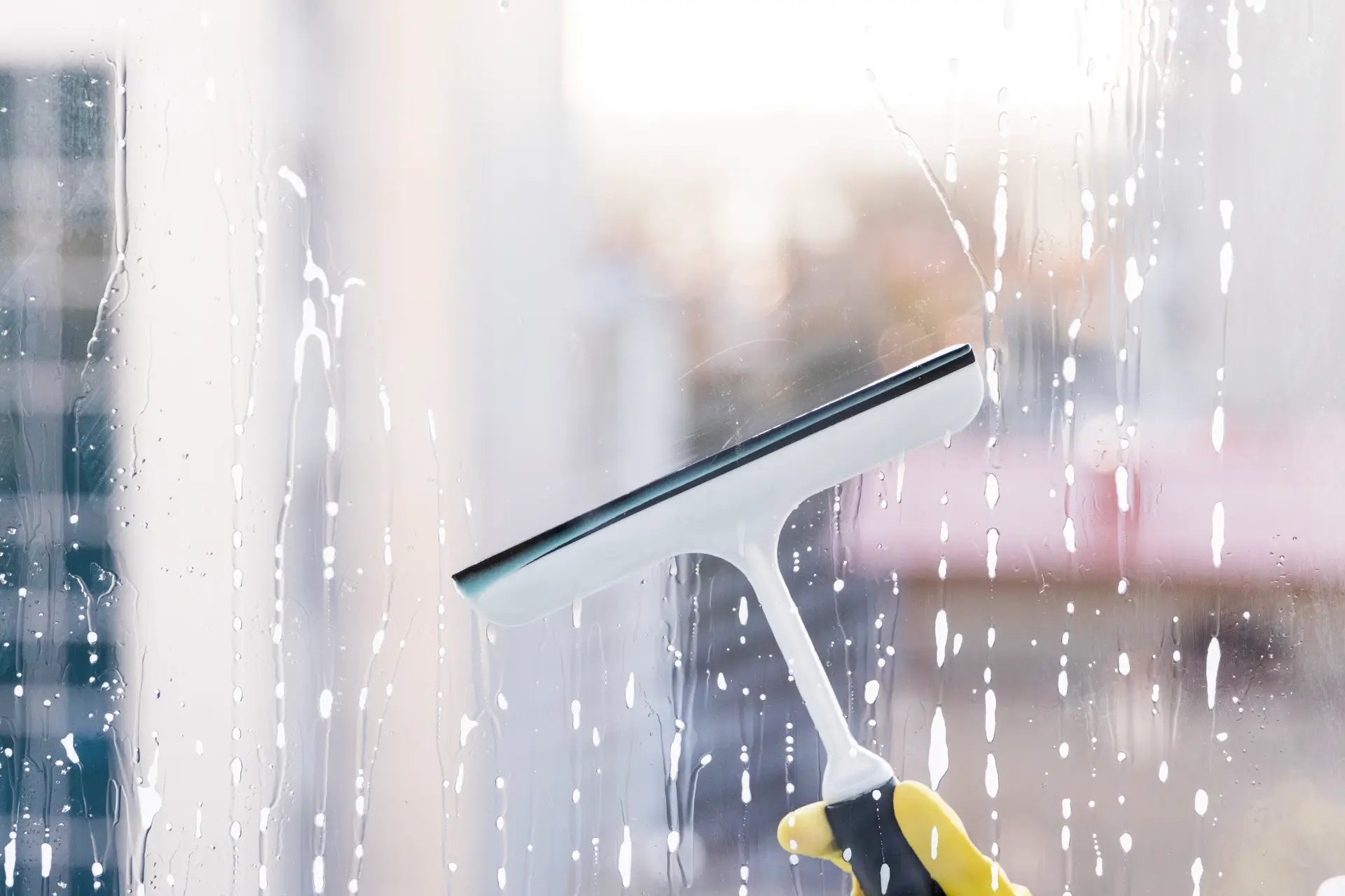 Professionelle Reinigung - Fensterreinigung im Objekt